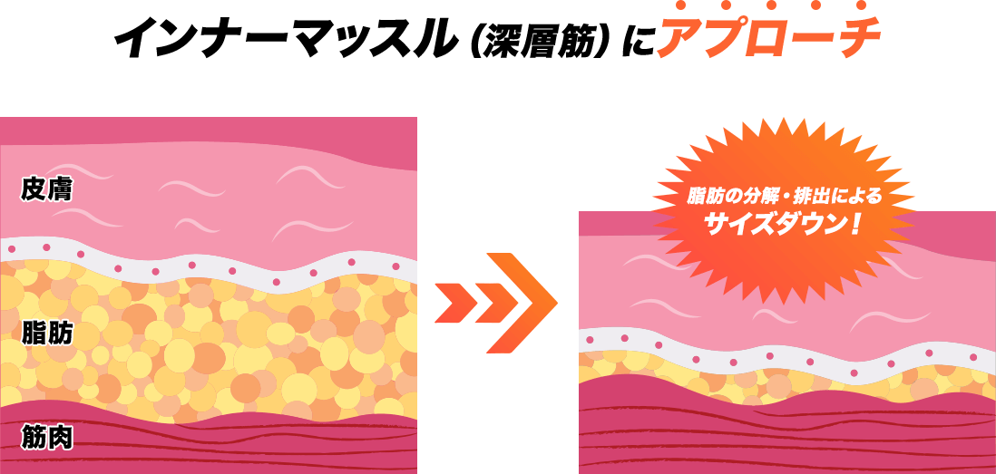 インナーマッスル（深層筋）にアプローチ