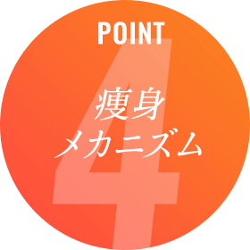 痩身メカニズム