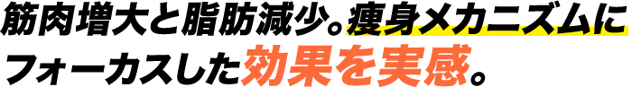 筋力増強と脂肪燃焼。痩身メカニズムにフォーカスした効果を実感。